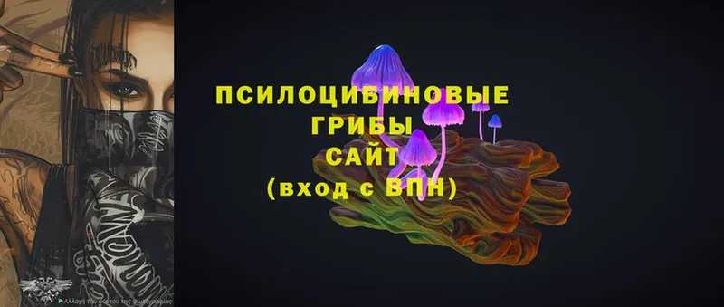 блэк спрут как зайти  Пермь  Галлюциногенные грибы ЛСД  магазин  наркотиков 